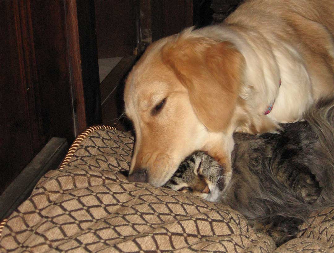 Rosie Meets Ratty, April 2006. Rosie Meets Ratty, April 2006.